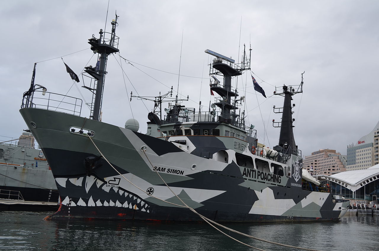 End Games, Part III: Sea Shepherd's Paul Watson, the Ocean's Realist - The National Interest Online (blog)