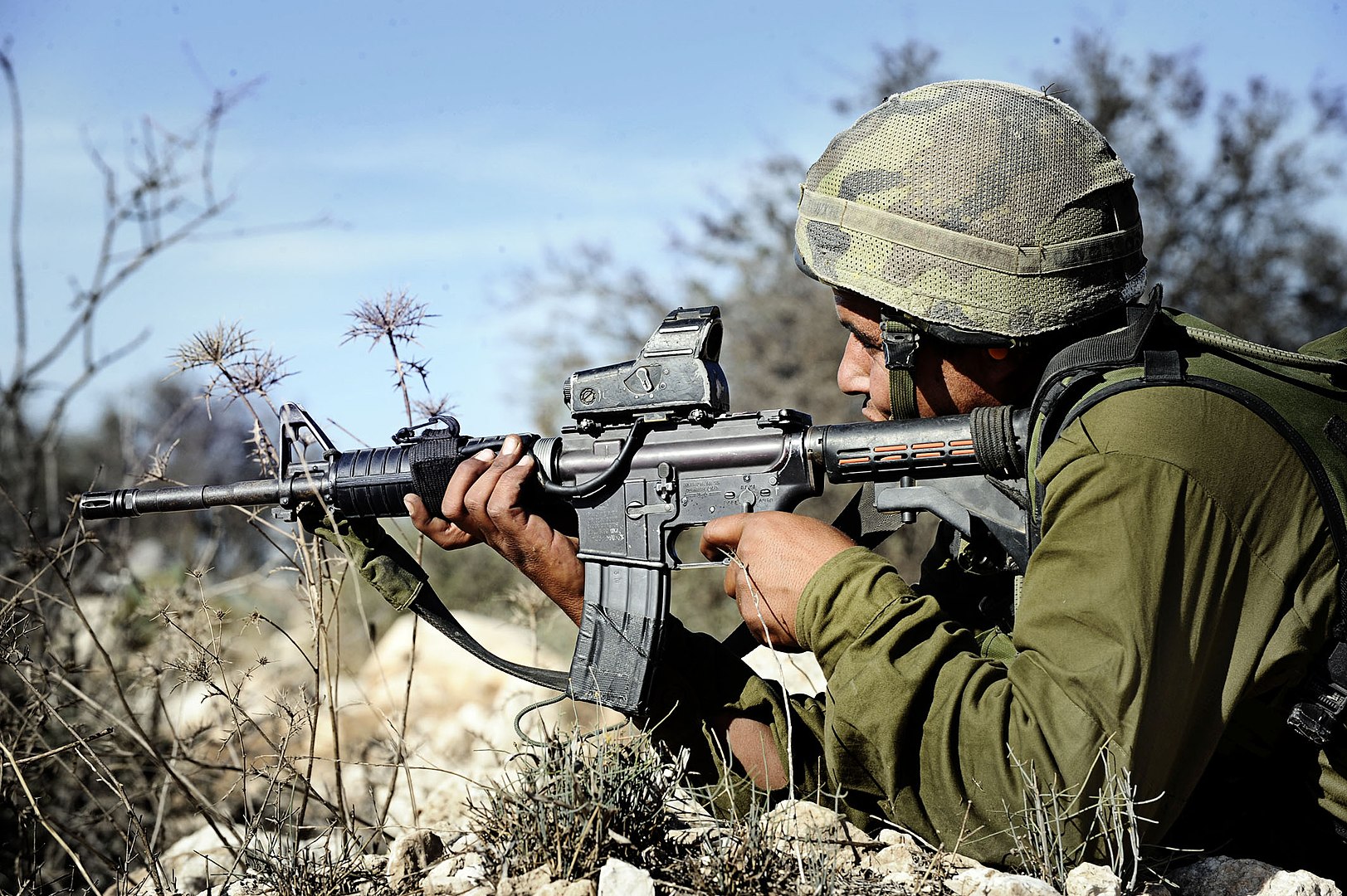 israeli defense force colt rifles
