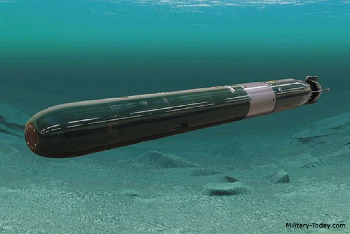 Unmanned Underwater Vehicles Could Augment The Russian Navy's Fleet ...