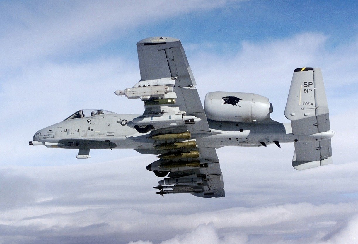 An_A-10_from_the_81st_Fighter_Squadron_f