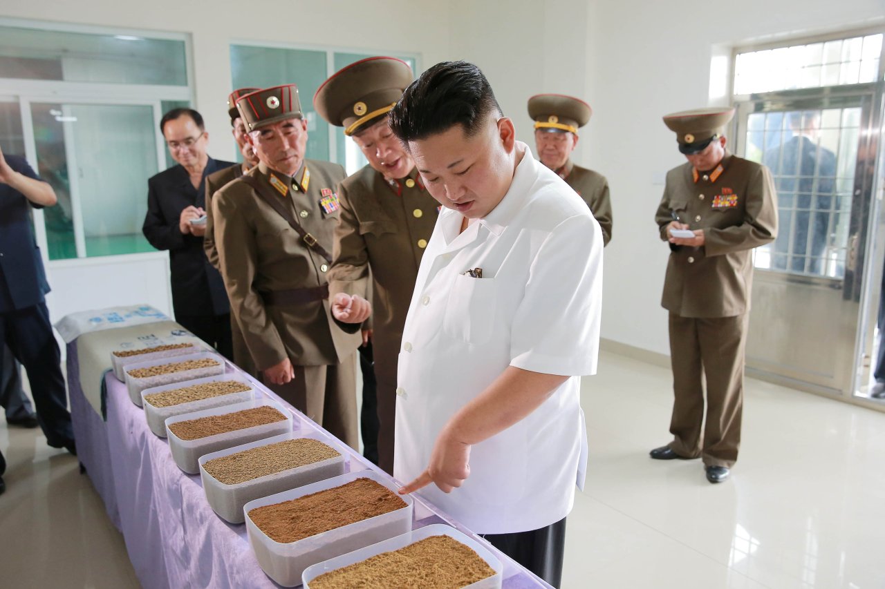 North Korea's Food Shortage Seems To Be Getting Worse | The National ...