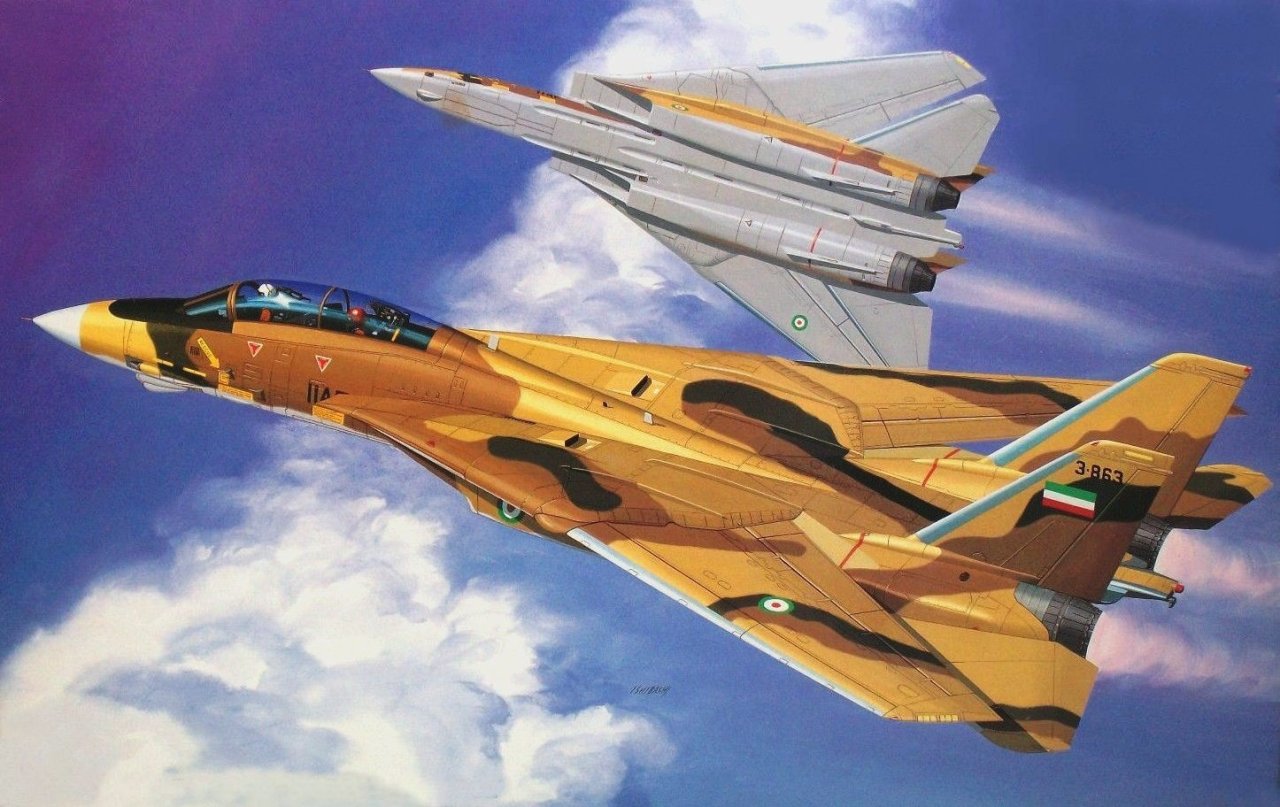 How Iran  s F  14  Tomcats Fought a War And Shot Down 160 