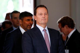 The ambassador of U.S. to Germany, Richard Grenell, in pictured in Meseberg, Germany July 6, 2018. REUTERS/Axel Schmidt