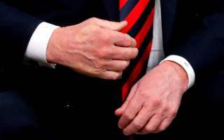 The imprint of French President Emmanuel Macron's thumb can be seen across the back of U.S. President Donald Trump's hand after they shook hands during a bilateral meeting at the G7 Summit in in Charlevoix, Quebec, Canada, June 8, 2018.