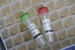 Samples of iLAMP Novel-Coronavirus Detection Kit are seen during a demonstration at an iONEBIO's office in Seongnam, South Korea, March 26, 2020. Picture taken March 26, 2020. REUTERS/Kim Hong-Ji