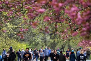 People are seen beneath blossoming trees in Central Park during the outbreak of the coronavirus disease (COVID-19) in Manhattan, New York City, New York, U.S., April 19, 2020. REUTERS/Andrew Kelly
