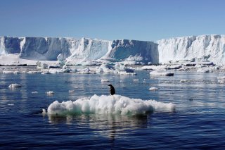 Ice shelves surrounding the Antarctic coastline retreated at speeds of up to 50 meters (164 feet) per day at the end of the last Ice Age—nearly 10 times faster than the satellite-observed melting rates of today.  The study, which was published in the jour