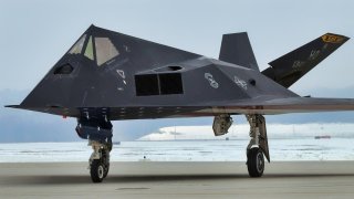 F-117 Stealth Fighter U.S. Air Force