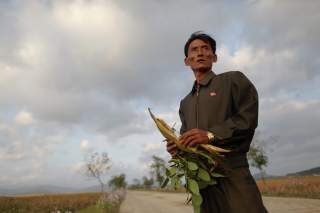 Pak Su Dong, manager of the Soksa-Ri cooperative farm in the area hit by recent floods and typhoons shows damage to agricultural products in the South Hwanghae province September 29, 2011. In March, the World Food Programme (WFP) estimated that 6 million 