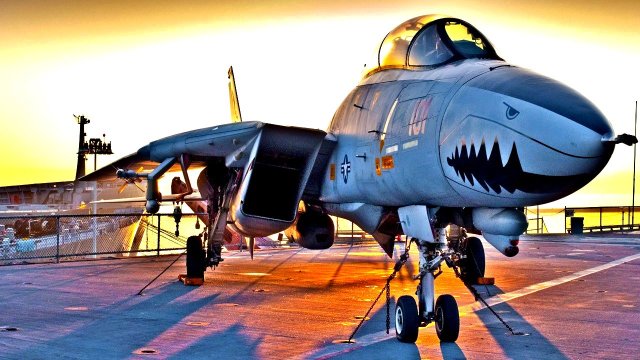 F-14 Tomcat vs. Russia's MiG-29 Fighter: Who Wins a Dogfight? | The ...