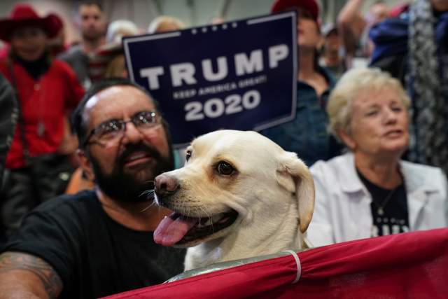 Pups for Trump? Could a Dog Pick the Next President? | The National ...