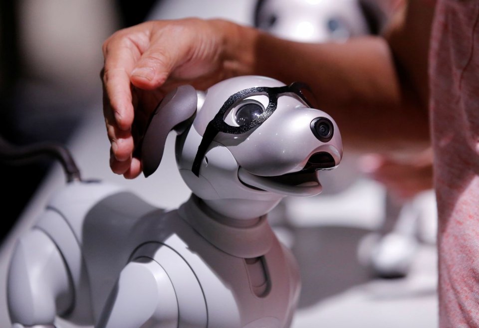 Privacy Scare: How Robopets May Be Spying On Older Adults At Home | The ...