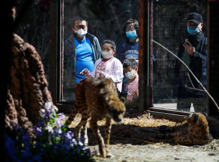 Visitors wearing protective masks look at cheetahs at the Beijing Zoo, during the new coronavirus disease (COVID-19) outbreak, in Beijing, China April 3, 2020. REUTERS/Thomas Peter