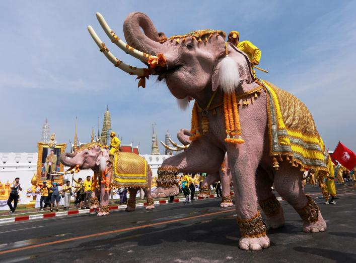 https://pictures.reuters.com/archive/THAILAND-KING-CORONATION-ELEPHANTS-RC1E4B312540.html