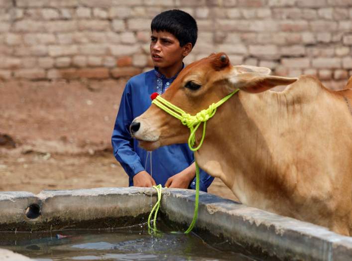  https://pictures.reuters.com/archive/PAKISTAN-DAILYLIFE--RC11DFE721F0.html 