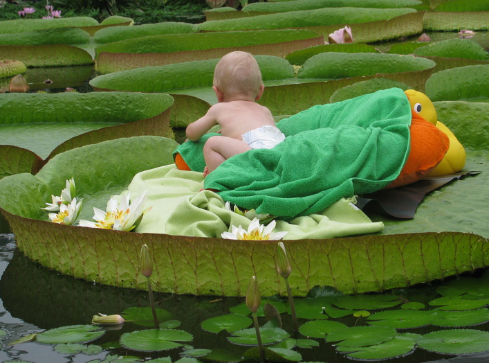 National Botanic Garden of Belgium / Donar Reiskoffer