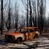 A burned car stands amid dead trees after a wildfire destroyed the Kangaroo Valley Bush Retreat in Kangaroo Valley, New South Wales, Australia, January 23, 2020. REUTERS/Thomas Peter 