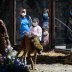 Visitors wearing protective masks look at cheetahs at the Beijing Zoo, during the new coronavirus disease (COVID-19) outbreak, in Beijing, China April 3, 2020. REUTERS/Thomas Peter