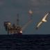 A seagull flies in front of an oil platform in the Bouri Oilfield some 70 nautical miles north of the coast of Libya, October 5, 2017. REUTERS/Darrin Zammit Lupi